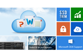 dsmbusiness